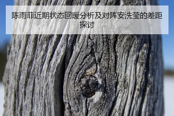 chen-yu-fei-jin-qi-zhuang-tai-hui-nuan-fen-xi-ji-dui-zhen-an-xi-ying-de-cha-ju-tan-tao-2-483.jpg